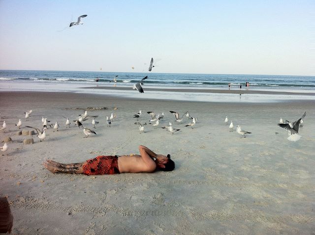 Seagull sacrifice - watch the poop face